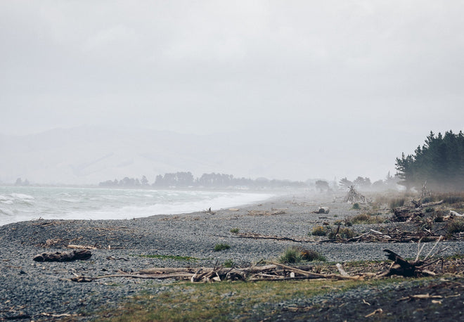 Discoveries from The Fine Wine Tour of New Zealand: Part 2