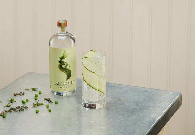 Top Dry January Cocktails from Seedlip
