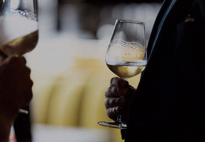 How to Taste and Appreciate Wine, with Jancis Robinson