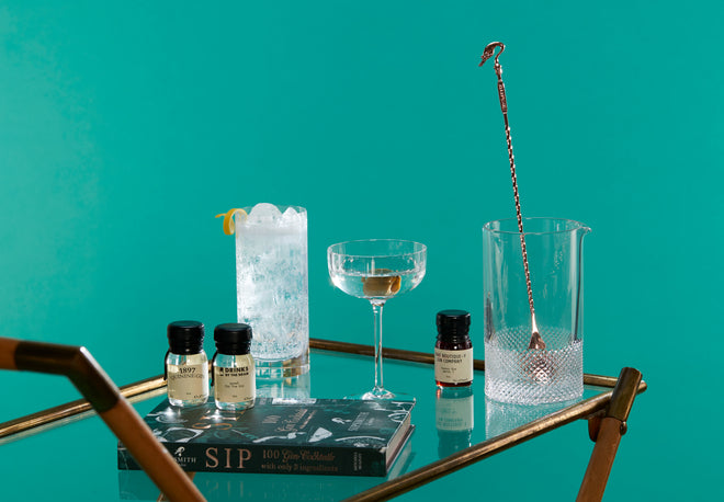 The Best Christmas Gifts for a Gin Lover