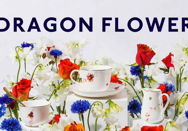 Introducing Dragon Flower | Richard Brendon