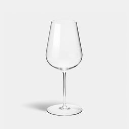 The Original Universal Wine Glass